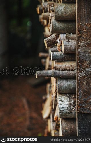 Firewood stacked outdoors in order to dry, prepared for winter heating season