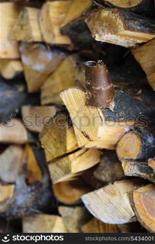 Firewoods after the sawing wood stand on timberyard. Bark close up. Shallow deep of field.
