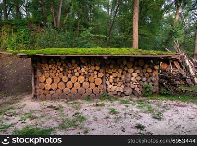 Firewoods stacked in pile under canopy in the forest