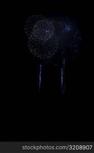 Firework display in the sky, Washington DC, USA