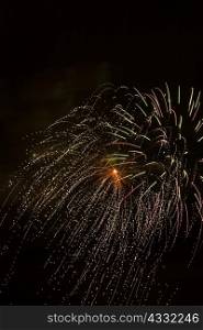 Fireworks exploding against night sky