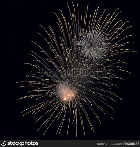 Fireworks in Night Sky on New Year