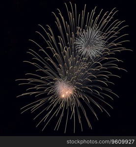 Fireworks in Night Sky on New Year