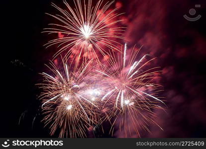 Fireworks, salute with the black sky background