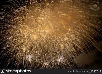 Fireworks, salute with the black sky background