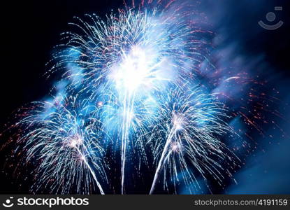 Fireworks, salute with the black sky background