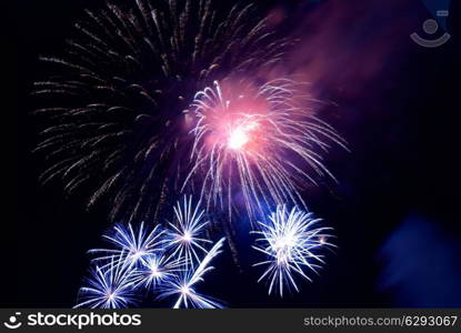 Fireworks, salute with the black sky background