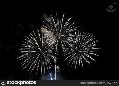 Fireworks with a dark black background, Bright beautiful colorful firework. Festive concept.
