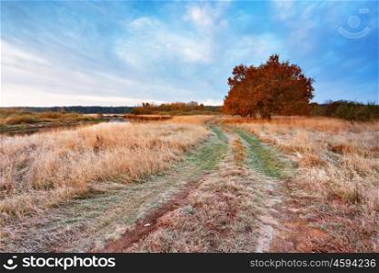 First autumn frosts in oak wood. Road in the meadow near the river in Belarus