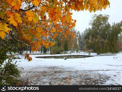 First autumn sudden snow in city park