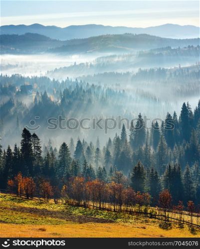 First rays of sun through fog and trees on slopes. Morning autumn Carpathian Mountains landscape (Ivano-Frankivsk oblast, Ukraine). Five shots composite image.