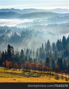 First rays of sun through fog and trees on slopes. Morning autumn Carpathian Mountains landscape (Ivano-Frankivsk oblast, Ukraine). Five shots composite image.