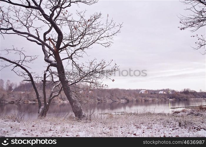 First snow on the riverbank. Belarus autumn morning landscape