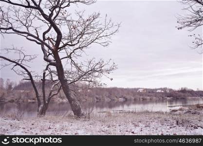 First snow on the riverbank. Belarus autumn morning landscape