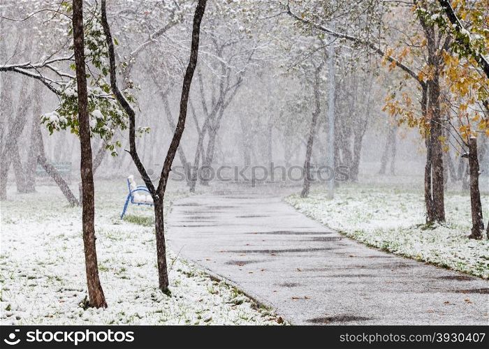first snowfall in city park in autumn day