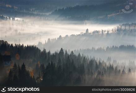 First sunrise rays of sun and shadows through fog and trees on slopes. Morning autumn Carpathian Mountains landscape (Yablunytsia village and pass, Ivano-Frankivsk oblast, Ukraine).