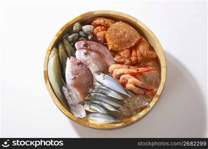 Fish and shellfish