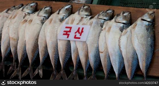 Fish at a stall in a fish market, Busan, Yeongnam, South Korea