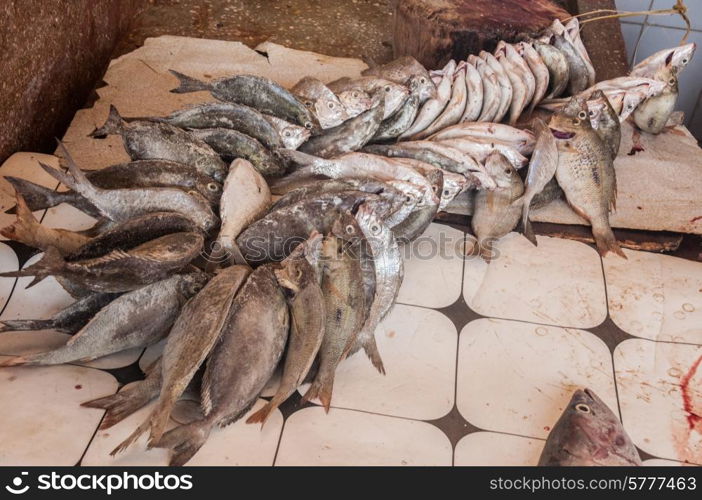 Fish available for sale at Stone Town fish market in Zanzibar.