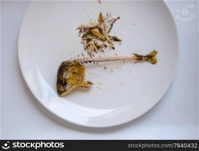 fish bone on dish from eating over