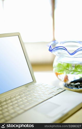 fish bowl next to laptop