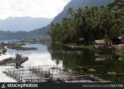 Fish embankment and wooden house on the lake Maninjau in Indonesia
