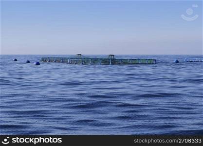 fish farm on blue ocean sea horizon pisciculture