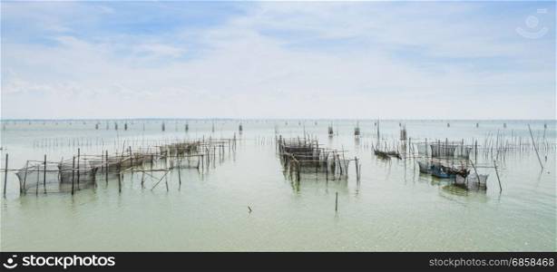 Fish farming in the sea with cages for rearing fish in Thailand
