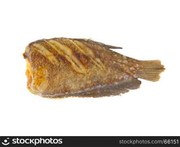 fish food isolated on white background