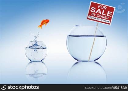 Fish in an aquarium with water and a sign. The concept of real estate