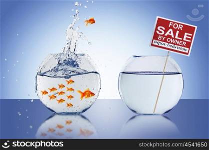 Fish in an aquarium with water and a sign. The concept of real estate