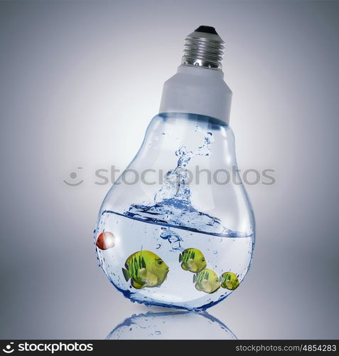 Fish in light bulb. Exotic fish in water inside electric light bulb