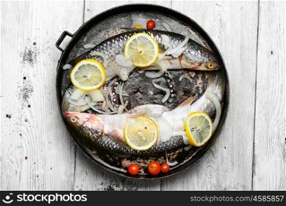 fish in the pan. Two carcasses of raw marine fish in seasonings and tomatoes