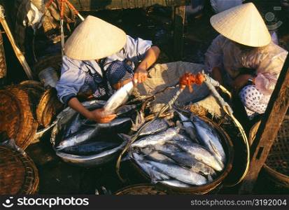 Fish market, Danang, Vietnam