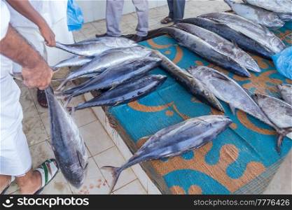Fish market in Hodeida on Red Sea, Yemen