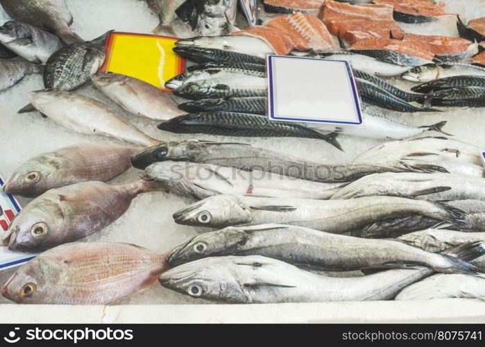 Fish on ice in the market. Greece, Athens, Piraeus