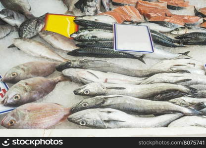 Fish on ice in the market. Greece, Athens, Piraeus