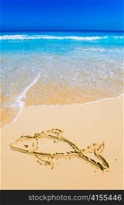 Fish- Picture on sand