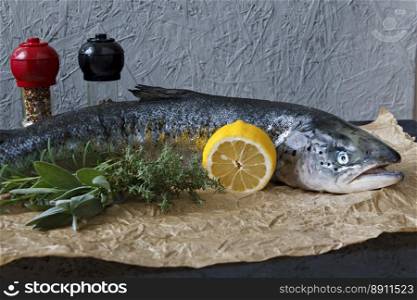 Fish. Raw fish for cooking. Trout. Salmon. Salmon