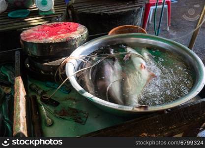 Fish sold in da makai market, Vientiane, Laos