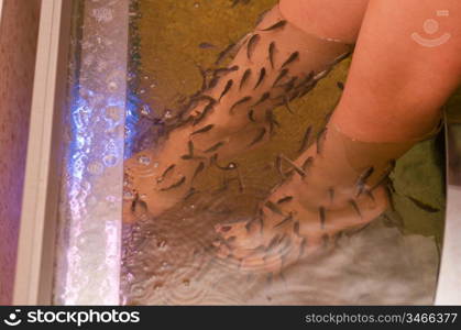 Fish spa pedicure wellness skin care treatment