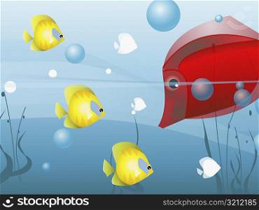 Fish underwater in the sea