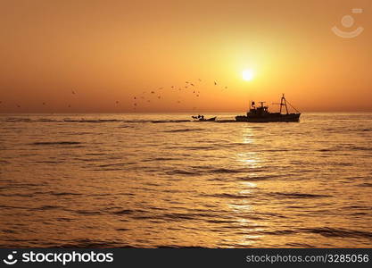 Fisherboat professional sardine catch fishery sunrise backlight with seagulls flying