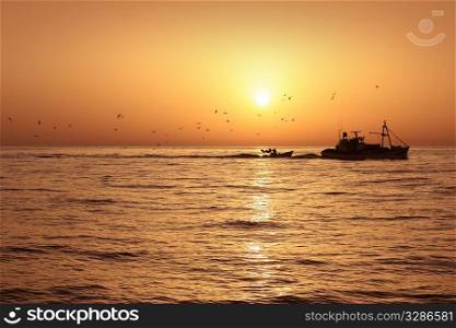 Fisherboat professional sardine catch fishery sunrise backlight with seagulls flying