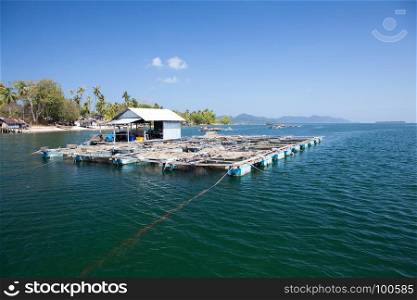 Fishes underwater fish cage farming or floating basket for keeping live fish in water