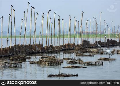 Fishing dam and fish traps in Taungthaman Lake near U Bein Bridge at Amarapura near Mandalay in Myanmar (Burma).