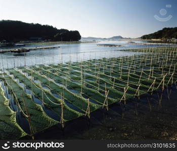 Fishing nets