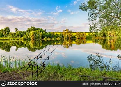Fishing rods for carp fishing on river at sunrise in summer. Fishing rods on river