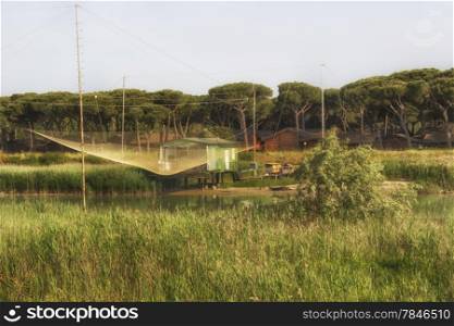 Fishing shack on channels to Adriatic sea among canes and pines in Italian seaside