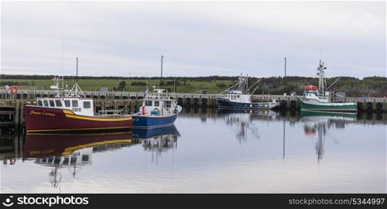 Fishing trawlers moored at harbor, Petit Etang, Cape Breton Island, Nova Scotia, Canada